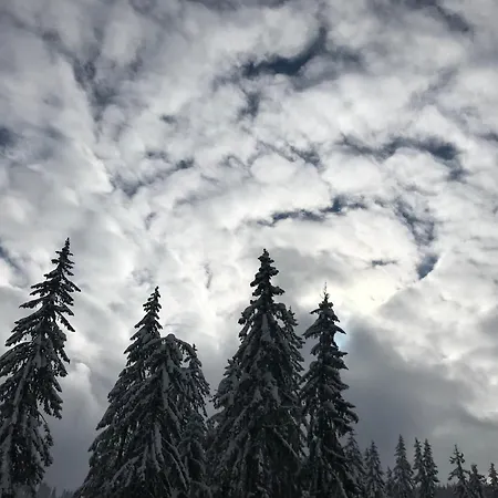 Apartment Sunrise Pamporovo